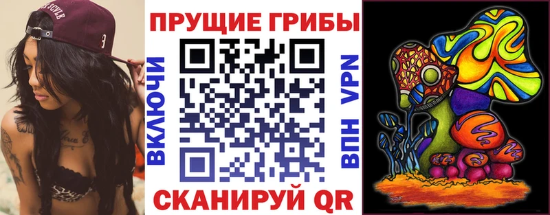 Купить  Морозовск  Галлюциногенные грибы Magic Shrooms 